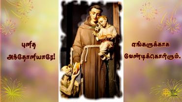 புனித அந்தோனியாரே! எங்களுக்காக வேண்டிக்கொள்ளும்.