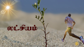 நாளை உதிக்கும் சூரியனின் கதிர்கள் நமதாகட்டும்;;. 