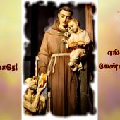 புனித அந்தோனியாரே! எங்களுக்காக வேண்டிக்கொள்ளும்.