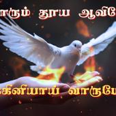தூய ஆவியார் பெருவிழா