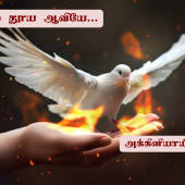 சொல்லாலும், செயலாலும்
