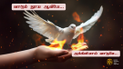 சொல்லாலும், செயலாலும்